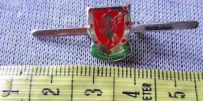 HUMANITATIS CAUSA BADGE