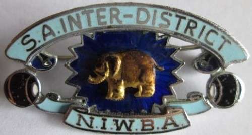 NIWBA S.A. Inter District Badge