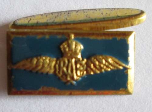RAF Badge / Pin