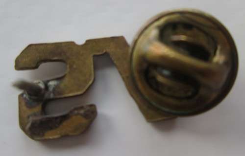 S A Badge / Pin