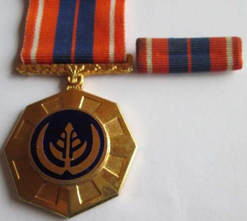 PRO PATRIA MEDAL / BALKIE
