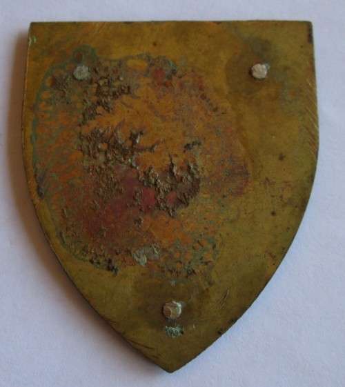 1 SAI RATEL ARM / SHOULDER FLASH BADGE