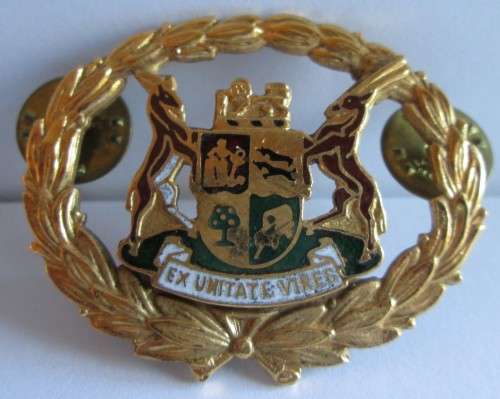 CLASS 1 RANK WARRANT OFFICER EX UNITATE VIRES BADGE