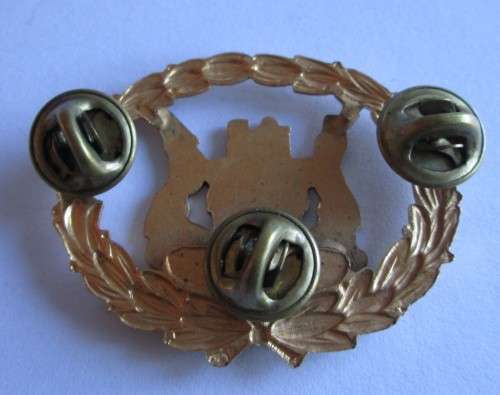CLASS 1 RANK WARRANT OFFICER EX UNITATE VIRES BADGE