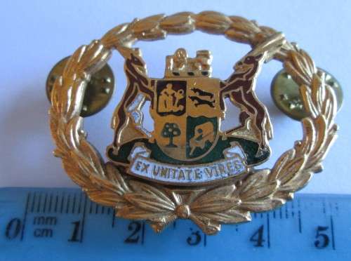 CLASS 1 RANK WARRANT OFFICER EX UNITATE VIRES BADGE