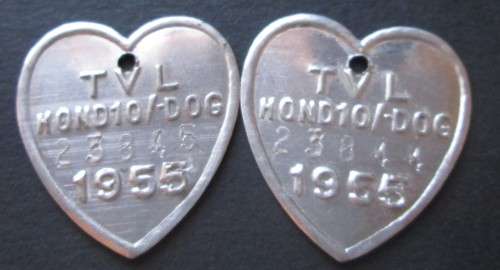 1955 TVL DOG LICENSE TAGS No. 23844/23845 (LOT)