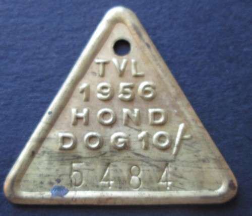 1956 TVL DOG LICENSE TAG No. 5484