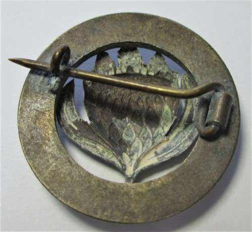 S.A.L.E.S.W / S.A/B.V.V. PROTEA PIN BADGE - RAKM130