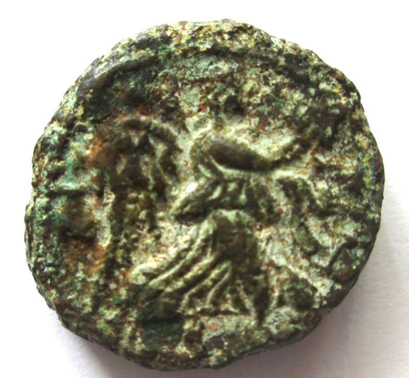 Ancient Coin