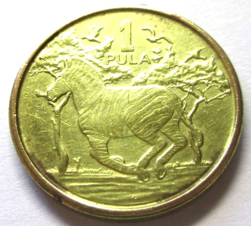 2013 Botswana 1 Pula