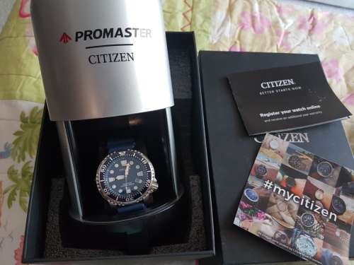 Citizen Promaster Eco Drive