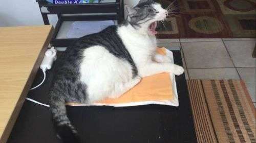 Heating / Recovering Pads
