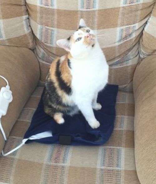 Heating / Recovering Pads