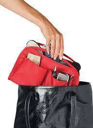 Handbag Organizer