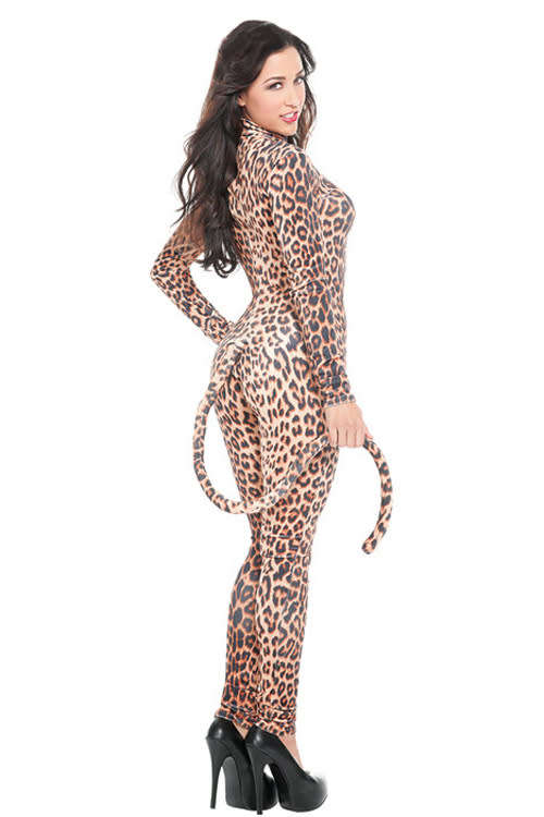Sensual Leopard Catwoman Costume with Sheer Cutout Panel, Long Sleeves