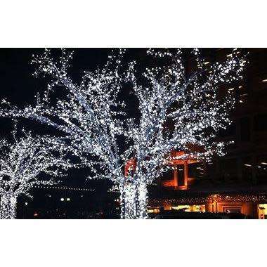 Solar Fairy Lights