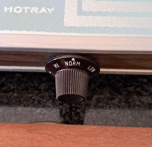Salton Hot Tray Food Warmer (vintage)