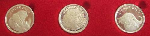 ( LOW START ) UNIQUE SET  5 X  1/10oz     BIG 5 MEDALLIONS     IN FINE SILVER....CERTIFIED