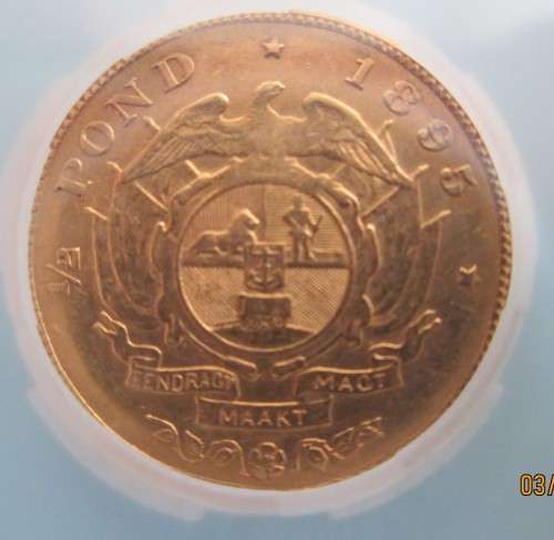 1895    GRADED GOLD  HALF POND   NGC GRADE VERY FINE DETAILS  (  POLISHED  )