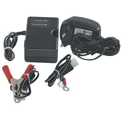 Automatic Battery Charger
