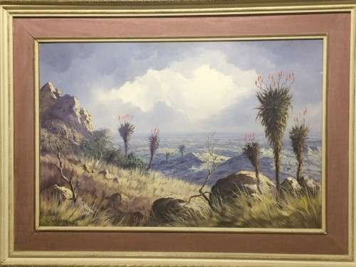 L Albertyn landscape