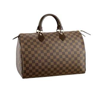 Brand New Luxury Louis Vuitton Speedy Bag