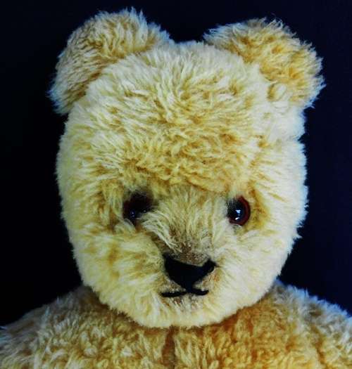 collectable vintage Ark teddy bear Made in South africa.