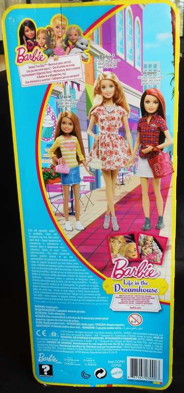 Barbie Life in the dreamhouse Skipper Barbies sister teenage doll N I P