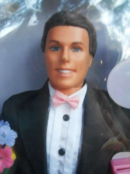 Ken Doll Flower Surprise Barbie s friend ready for valentines day N I B