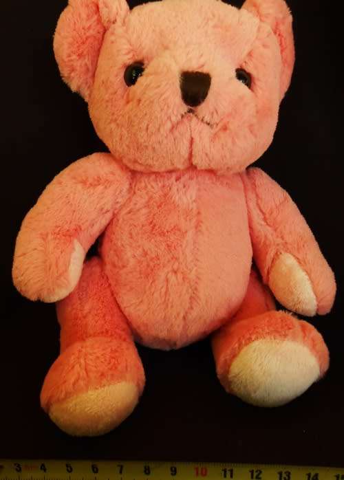 collectable pink teddy bear made for Harrods Knightsbridge London