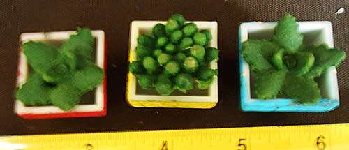 Collectable doll house miniature pot plants cactus