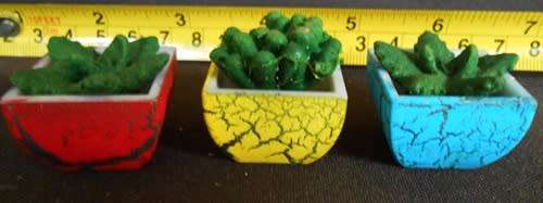 Collectable doll house miniature pot plants cactus