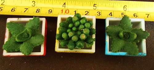 Collectable doll house miniature pot plants cactus