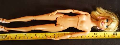 Collectable Articulated Barbie Life In the Dreamhouse Original clothes like new