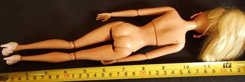 Collectable Articulated Barbie Life In the Dreamhouse Original clothes like new