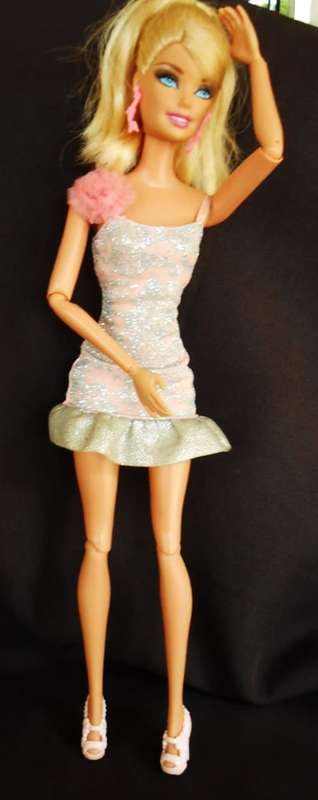 Collectable Articulated Barbie Life In the Dreamhouse Original clothes like new