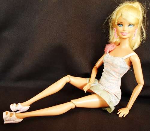 Collectable Articulated Barbie Life In the Dreamhouse Original clothes like new