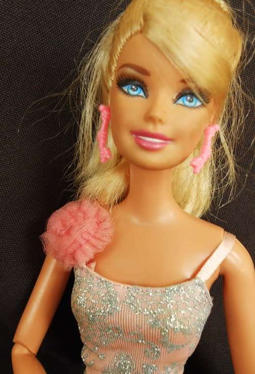 Collectable Articulated Barbie Life In the Dreamhouse Original clothes like new