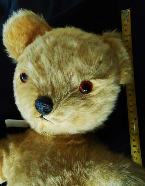 Large 60 cm vintage  Wendy Boston mohair teddy bear from the 1970`s Restored300