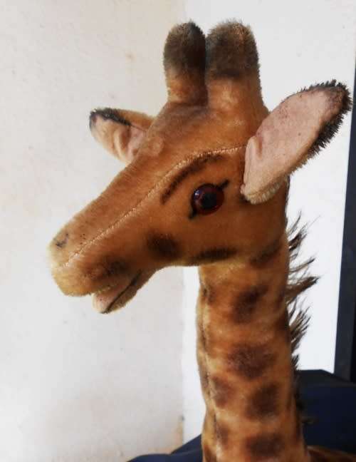 Collectable vintage Steiff mohair giraffe probably from 1950`s 60 cm high