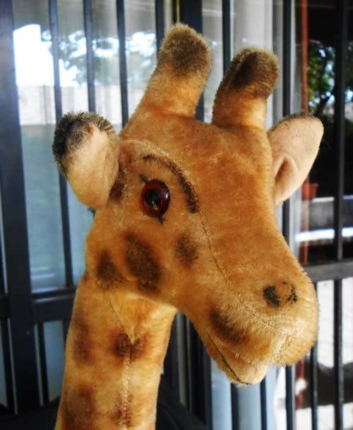 Collectable vintage Steiff mohair giraffe probably from 1950`s 60 cm high