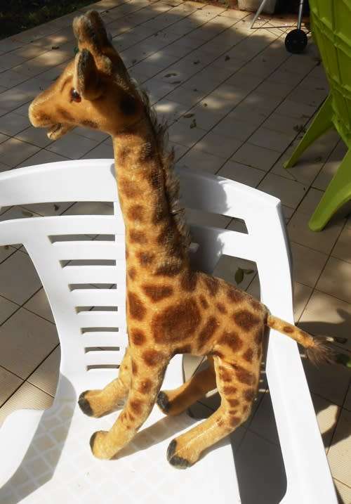 Collectable vintage Steiff mohair giraffe probably from 1950`s 60 cm high