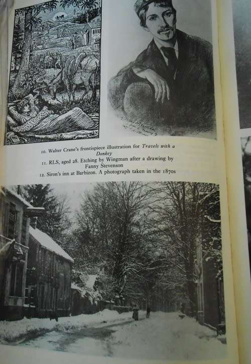 Robert Louis Stevenson: A Biography.  Book by Frank McLynn