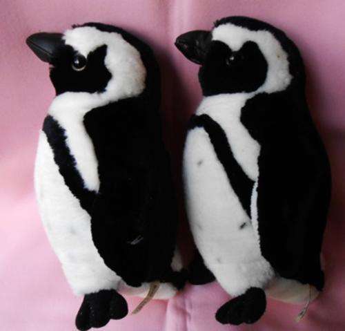 two collectable African Jackass Penguins made by Born in Africa