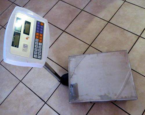 300 Kg Electronic Platform Scale Bargain!! look inside!