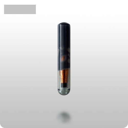 NEW TPX1 Cloner Transponder Chip, Brand New, R250 each R 250