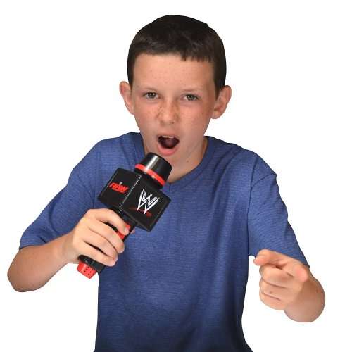 WWE The Big Talker Microphone - mint in box