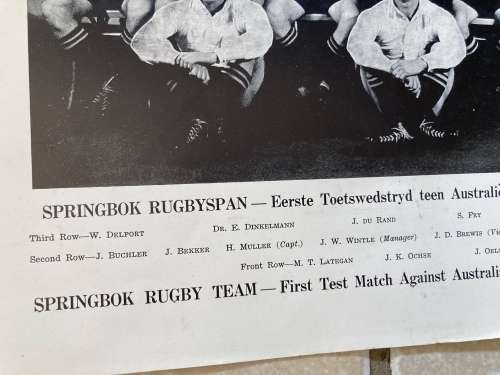 Rare 1953 Springbok South Africa Rugby Team photo with printer Signatures Springbok cigarettes promo