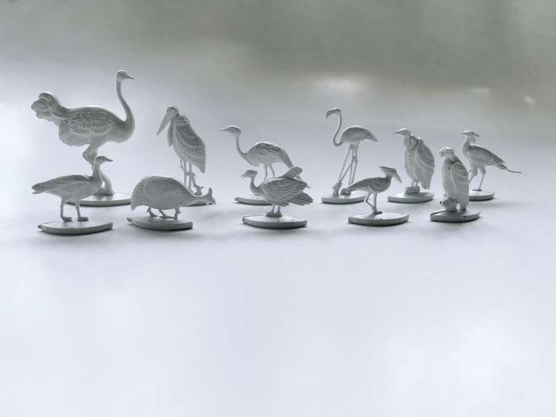 11 of 12 of the Extremely rare 1961 COCA COLA South Africa 1960s FANTA SOUVENIR COLLECTION OF BIRDS