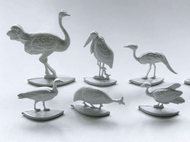11 of 12 of the Extremely rare 1961 COCA COLA South Africa 1960s FANTA SOUVENIR COLLECTION OF BIRDS